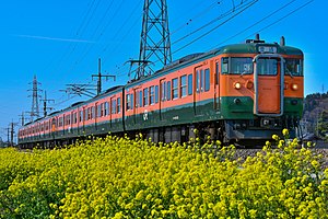JR East 115-1000 Ryōmō-Line 6 вагонов.JPG