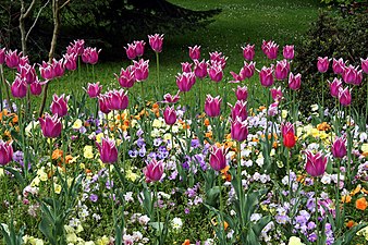 Flores de temporada.