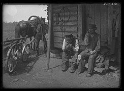 Manure haulers Gustav (aged 65) and Anton (aged 68) smoking pipes. Mõnnelohu farm, Pühajõe village (1913)