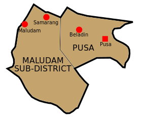 Localisation de District de Pusa