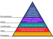Psychologist Abraham Maslow in 1943 posited that humans have a hierarchy of needs, and it makes sense to fulfill the basic needs first before higher-order needs can be met. Maslow's Hierarchy of Needs.svg