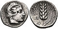 Moneda de Metaponto con Ceres en el anverso y una espiga en el reverso