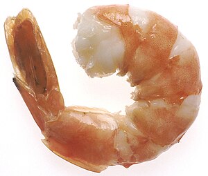 A steamed tail-on shrimp.