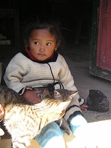 A child bonding with a cat. Human to animal contact is known to reduce the physiological characteristics of stress. Nepal-child-cat.jpg