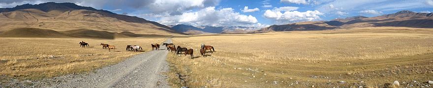 Troupeau de chevaux sur une vaste étendue plate désertique, avec des montagnes en arrière-plan