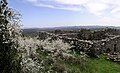 Printemps sur le causse du Larzac (22 avril 2018) à la chapelle Saint-Vincent de la Goutte (Pégairolles-de-l'Escalette, Hérault).