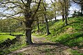 Paysage des bords de l'Yaigne au printemps près de Châteaugiron.