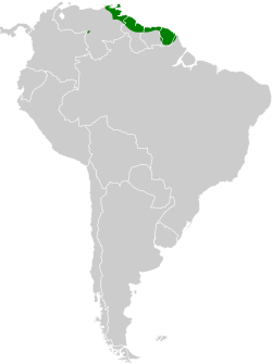 Distribución geográfica del ermitaño chico.