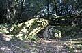 Dolmen effondré appelé la Pierre Levée de Berthe-grille