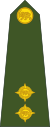 Rhon-Army-OF-1b.svg