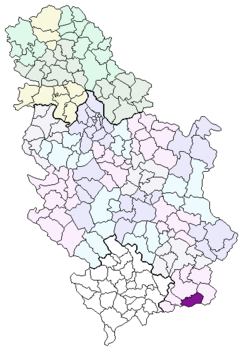 Locatie van de gemeente Trgovište in Servië