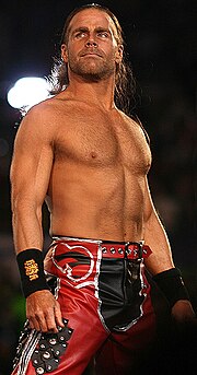 Pienoiskuva sivulle Shawn Michaels