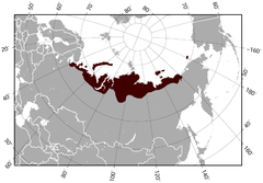 Mapa występowania