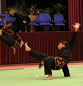 Silat.jpg