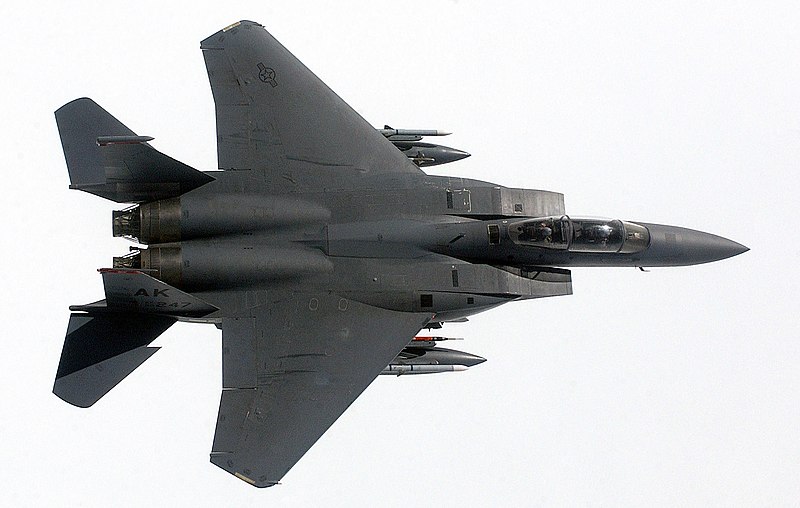 800px-USAF_F-15D_Top.jpg