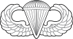 Значок парашютиста ВВС США.svg