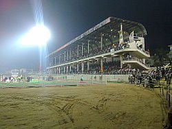 Вид на боковую трибуну стадиона Гуру Гобинд Сингха.jpg