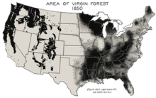 Virgin Forest in United States, 1850.png