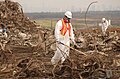 Ouvrier parmi les débris du World Trade Center dans la décharge de Fresh Kills, vue au fond sur Manhattan.