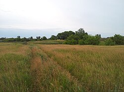 Landscape in Alkeyevsky District