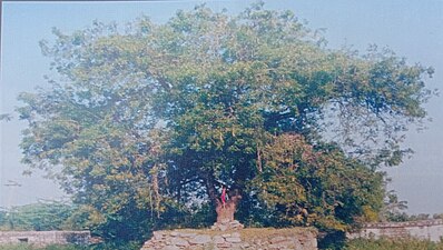 15ఫిబ్రవరి1739లో సంత్ సేవాలాల్ మాయి (ఓర్) పూడ్చిపెట్టిన స్థలం