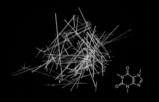 Krystalky kofeinu po krystalizaci z čistého ethanolu