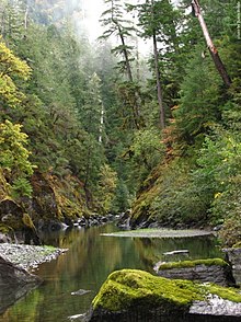 A canyon with a river and trees in the Copper Salmon Wilderness