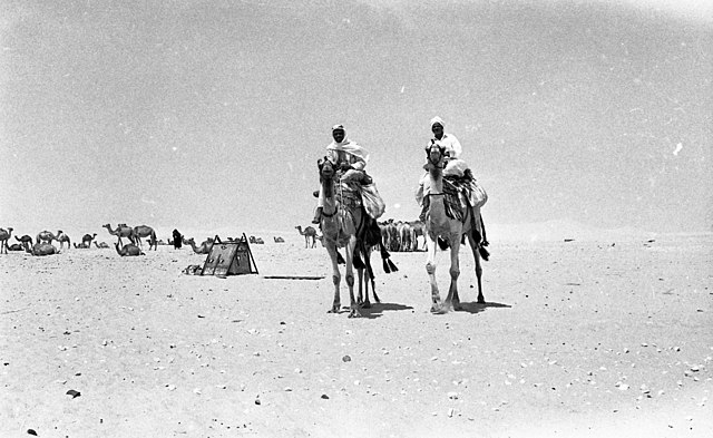 Beduinos en el Sinai, Israel 1969