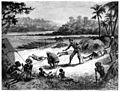 Die Gartenlaube (1890) b 432_2.jpg Rettung des Kapitäns Nelson und der Ueberlebenden im Hungerlager