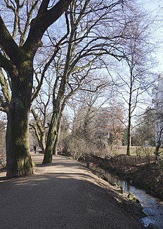 Dr Doorebach bir ehemalige Schiessanlag Allschwiler Weiher