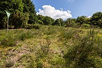 Wacholderheide Eiershausen