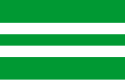 Flag of Antsla Parish