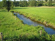 La rivière à sa sortie du département de la Manche, entre Beauchêne et Lonlay-l'Abbaye.