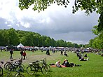 Veteranbilshow vid Gärdesloppet, 2011.