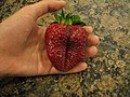 A large strawberry.