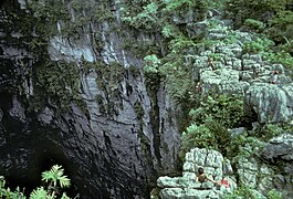 Sótano de las Golondrinas.