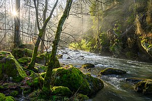 29. Platz: Burnett0305 Neu! mit Sonnenaufgang im Höllental