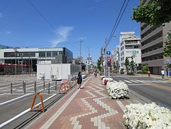 明大寺交番、愛知県道477号東大見岡崎線（東岡崎駅前通り）