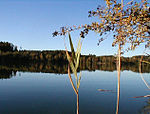 Höllerer See (Gemeinde St. Pantaleon)