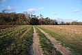 Icknield Way nearby