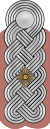 Знак отличия Вермахта Heer LtColonel 1.svg