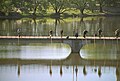 Lower Pond Schlossteich