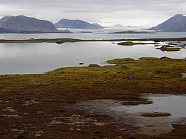 Kongsfjord