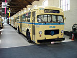 Bus 8048 in een uitmonstering als lijn 49.