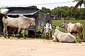 Bélyegkép a 2019. május 23., 17:44-kori változatról