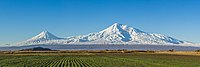 Ararat