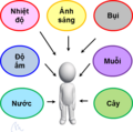 Hình xem trước của phiên bản lúc 11:33, ngày 20 tháng 9 năm 2019