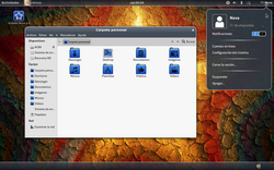 Screenshot systému Nova Linux 4.0 (1) .png