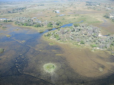 Okavango Delta.