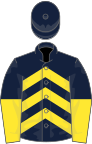 Dark blue and yellow chevrons, halved sleeves, dark blue cap